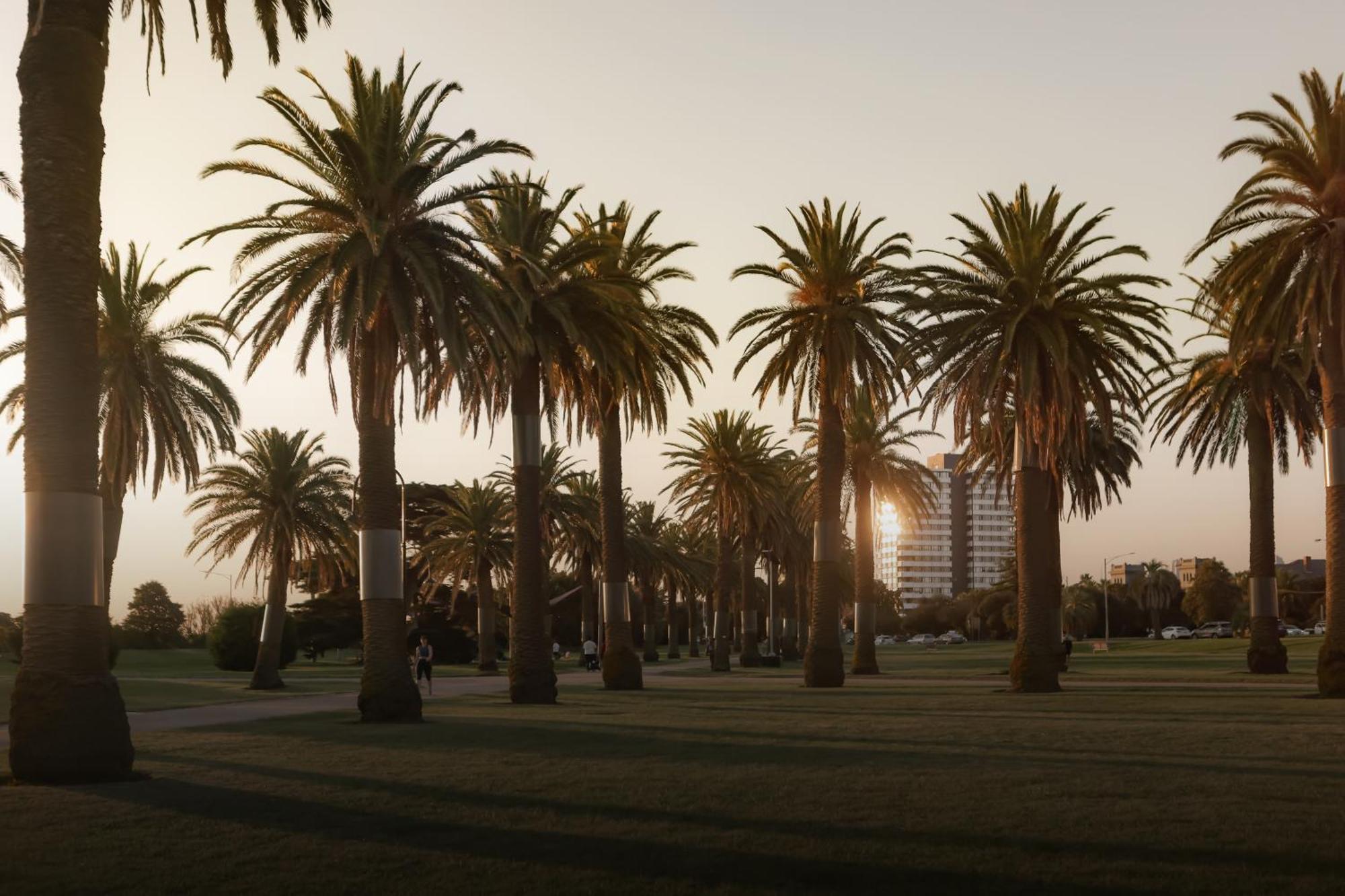 Mac St Kilda Blessington St By Melbourne Apartment Collection Eksteriør billede